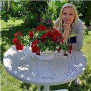 Docente di liceo, esperta, offresi per ripetizioni di latino e italiano